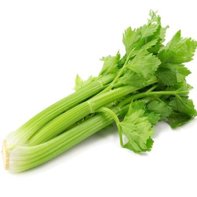 6685.jpeg 6685.jpeg