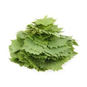 alei-gefen-300.jpg alei-gefen-300.jpg