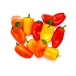 mini-peppers_523-300x300-1.jpg