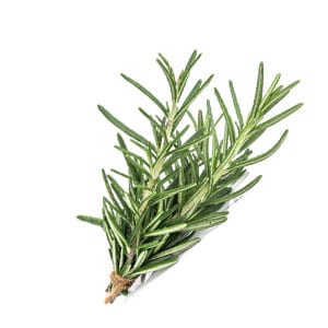 rosemary.jpg rosemary.jpg