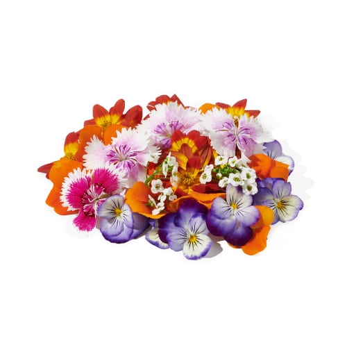 yarokale-flowers-mix.jpg yarokale-flowers-mix.jpg