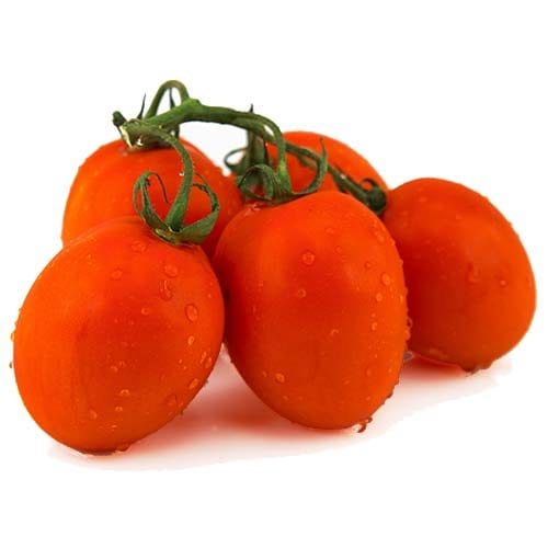 עגבניות-תמר-1-500x500-1.jpg עגבניות-תמר-1-500x500-1.jpg