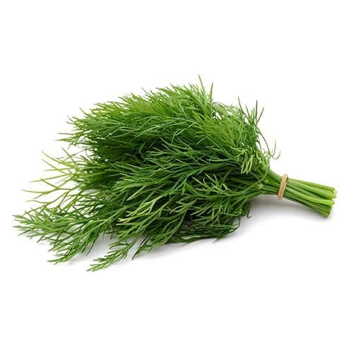 שמיר-500x500-1.jpg שמיר-500x500-1.jpg