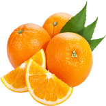 תפוז-רשת.png