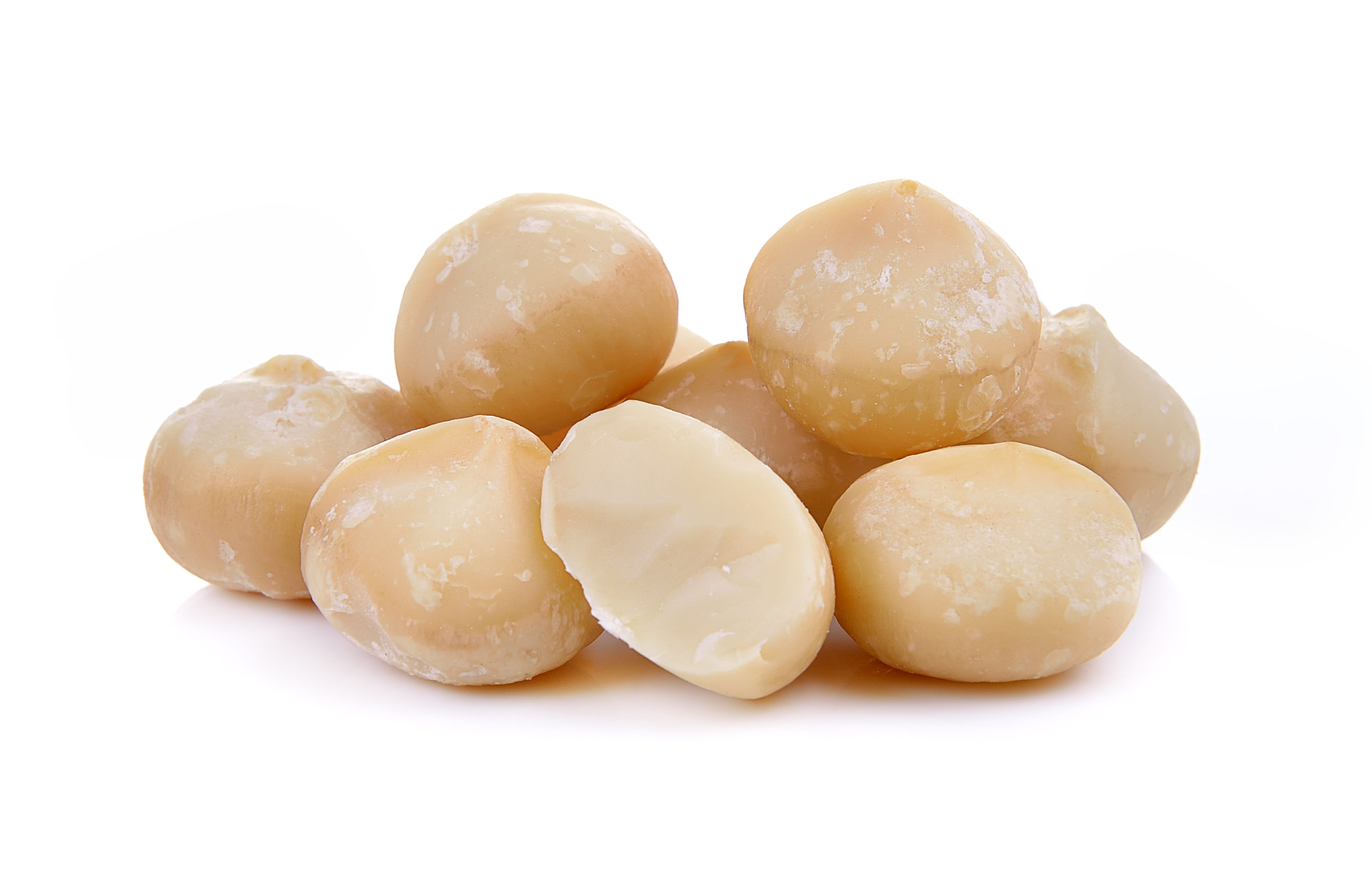 macadamia nut isolated on a white background macadamia nut isolated on a white background